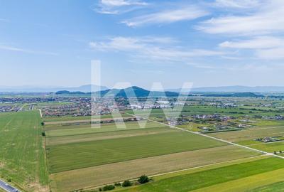 Teren de vanzare I 8 Euro/ mp I Deschidere la drum - Harman - 12