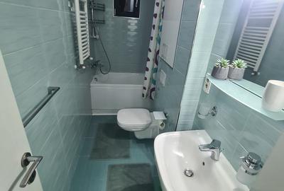 Garsonieră decomandată, mobilată în Dristor - 12