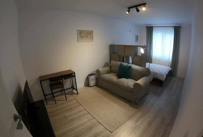 Garsoniera termen lung PetFriendly - 6