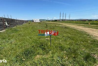 Teren de 718 mp, în Cetate - 4
