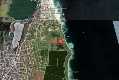 Teren de 9000 mp, în Sud