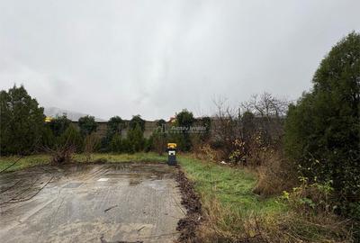 Bocsa Romana, Casa 8 Incaperi, Strada Principala. - 12