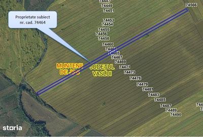 Teren de 24200 mp, în Muntenii de Jos - 7