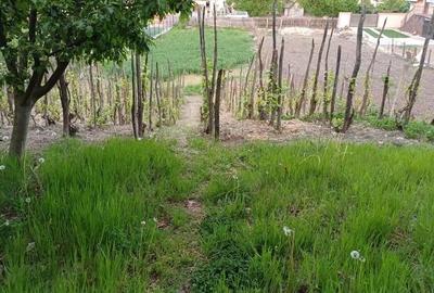 Casă cu 3 camere în Iancu Jianu - 5