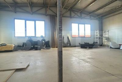 Hala de vanzare 365 mp, Mosnita Noua! - 3