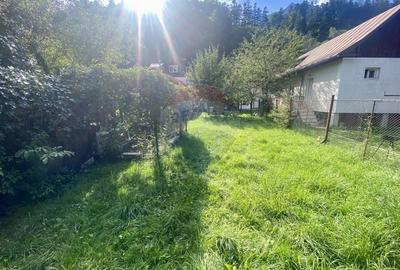 Vila cu farmec istoric in Busteni, pensiune sau locuinta de vacanta! - 31