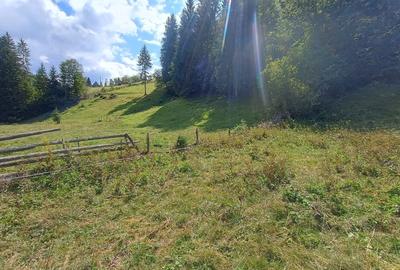 Spațiu comercial, în Petrești - 6