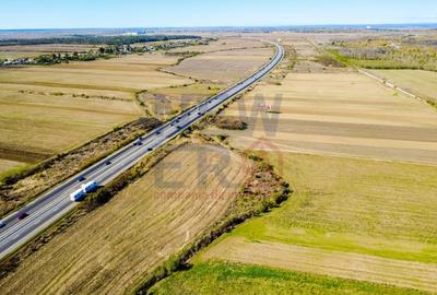 Terenuri industriale cu deschidere la A1, km 64 – Jugureni, Dambovita - 7