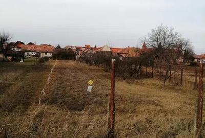 Teren 934 mp Ghimbav - 3