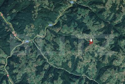 Teren 9648 mp, priveliste superba, Poiana Marului! Teren 9648 mp, priveliste superba, Poiana Marului! - 3