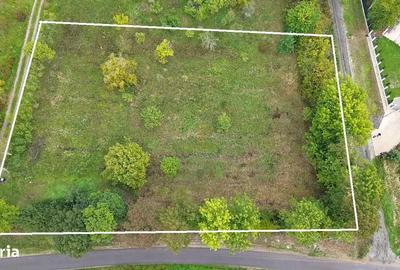 Teren de 2812 mp, în Viile Satu Mare - 9