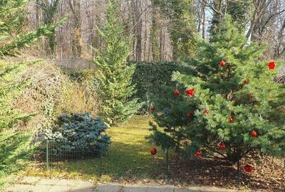 Vanzare vila 5 camere | Langa padure | Bucuresti | Baneasa - 18