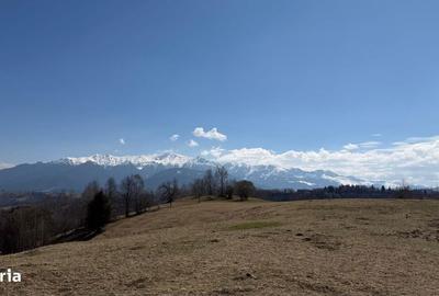 Spațiu comercial, în Peștera - 6