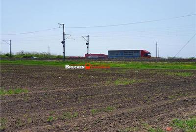 Teren de 1132100 mp, în Șofronea - 3