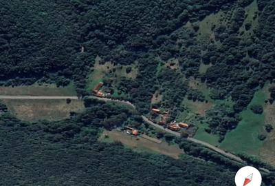 Vand Casa la tara cu 5 Ha de teren in jud Hunedoara - 3