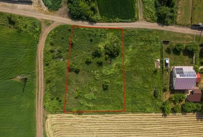 FRUMUSANI - POSTAVARI, TEREN 1500 MP, FRONT 30 M ! FRUMUSANI - POSTAVARI, TEREN 1500 MP, FRONT 30 M ! - 2