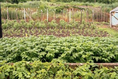 Teren agricol intravilan de 7603 mp, în Delenii - 19