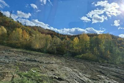 Spațiu comercial, în Țerova - 3