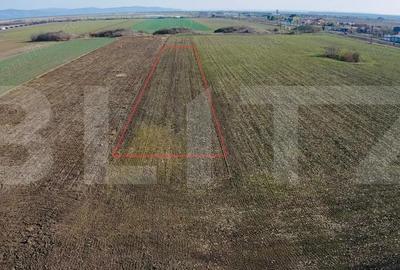 Teren 1.600 mp cu Front Generos, Vladimirescu - 2