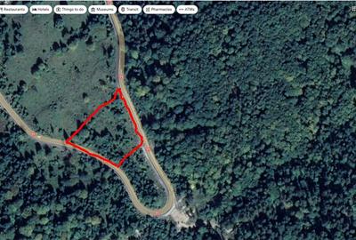 Spațiu comercial, în Central - 4