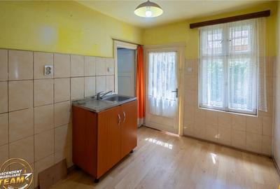 FILM!Doua case traditionale,pe domeniu cu peste 5.000mp tere - 18