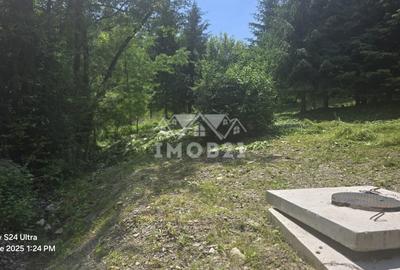 VANZARE TEREN INTRAVILAN 1868 MP IN BREAZA PRAHOVA - 9