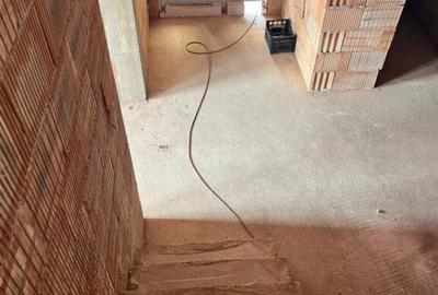 Casa la rosu, 300 mp, 31 ari de teren, Maneuti-Fratautii Vec - 17