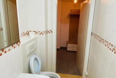 Lacul Tei - Inginerilor - 1