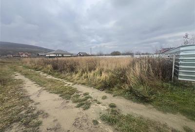 Hemeius- teren 500 mp- 18 ml deschidere! - 6