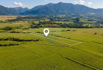 Teren agricol extravilan de 8329 mp, în Glăjărie - 1