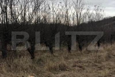 Teren de 3278 mp, în Central - 2