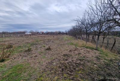 Casă cu 4 camere în Șomoșcheș - 5