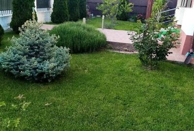 Casă cu Teren 1989 Mp în Ciritei - 1