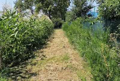 Teren intravilan in Barcanesti-centru, sat Candesti, Neamt, 3000mp - 3