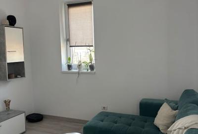 Apartament cu 2 camere semidecomandat, mobilat în Braytim - 2