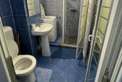 Garsoniera de inchiriat zona Malu Rosu - 4