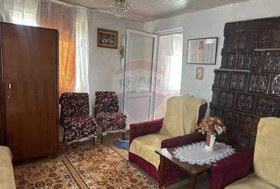 Casă cu 3 camere cu Teren 2609 Mp în Bârgăuani - 7