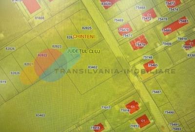 Teren 780mp Chinteni - 1