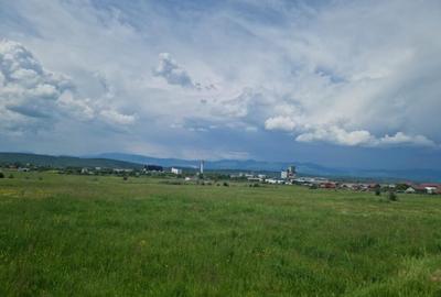 Teren extravilan, str. Ciocarlau - 8