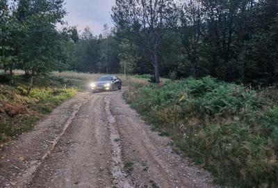 Teren de vanzare la Valiug 1000-3000mp ID 1218 - 6