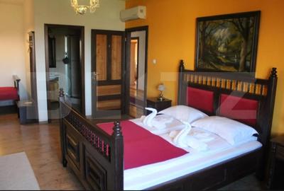 Conac de vanzare 7 camere cu bai proprii, crama, ciubar si potential - 12