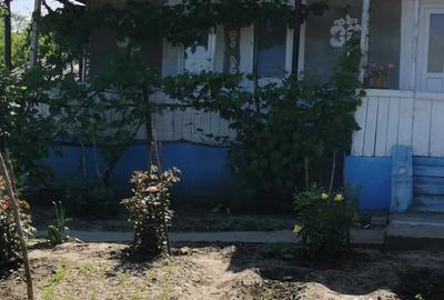 Casă cu 4 camere în Deleni - 1