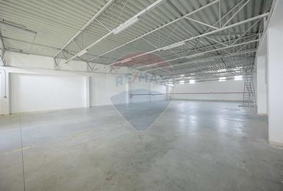 De vanzare Spatiu industrial de 10 129 mp Soseaua Borsului - 11