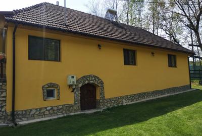 Casă cu 3 camere în Hărțăgani - 7