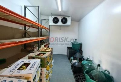 Casă individuală cu 5 camere cu Canalizare în Clinceni - 9