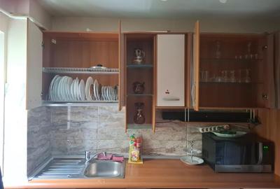 Apartament cu 3 camere semidecomandat, mobilat în Podul de Piatră - 20