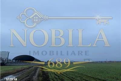 Spațiu comercial, în Central - 1