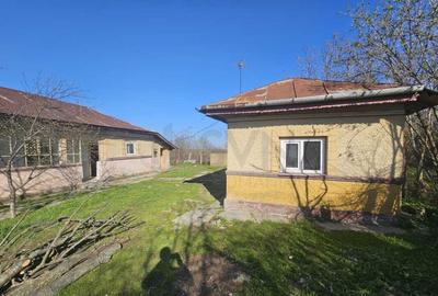 Casa de in Mihailesti I Posta Casa de in Mihailesti I Posta - 2