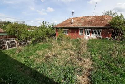 Casa demolabila, teren 1760 mp, utilitati, sat Visea, comuna Jucu