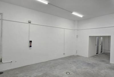 Hala renovata  145 mp in Parcul Industrial Roman pt. productie, depozitare - 3